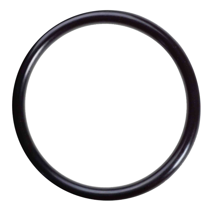 Udor Kappa Pump Check Valve O-Ring P/N: GG110131
