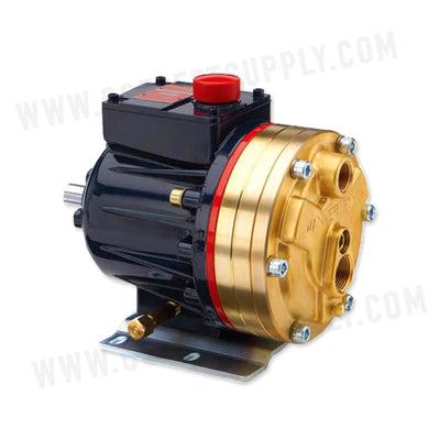 Wanner D10 Hydracell Pump Brass Plates P/N: GGD10XPBTHFECA